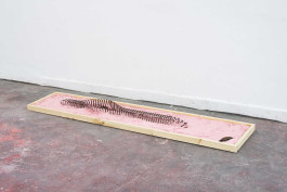 David Benarroch
