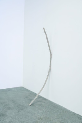 David Benarroch