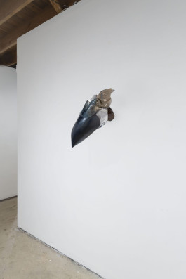 David Benarroch